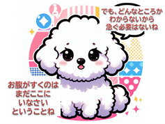 コンセプト