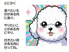 コンセプト